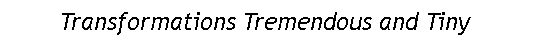 Rounded Rectangle:        Transformations Tremendous and Tiny